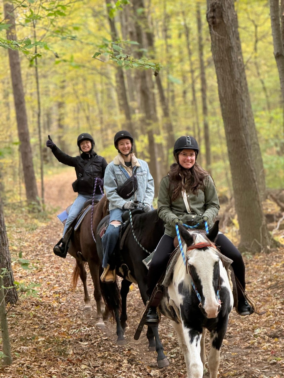 Silverstone Adventures – Horseback Riding Adventures